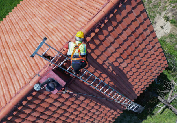 Best Roof Insulation Installation  in South Pekin, IL